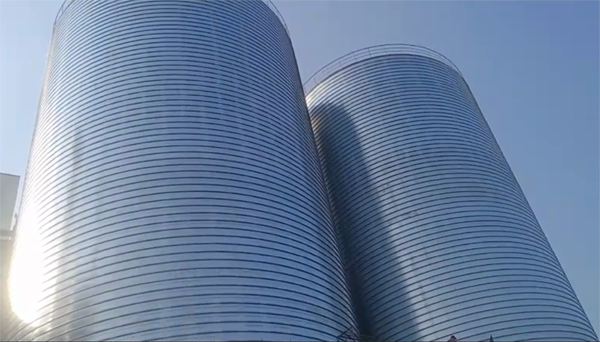 大茂镇2座混凝土高架卷板仓